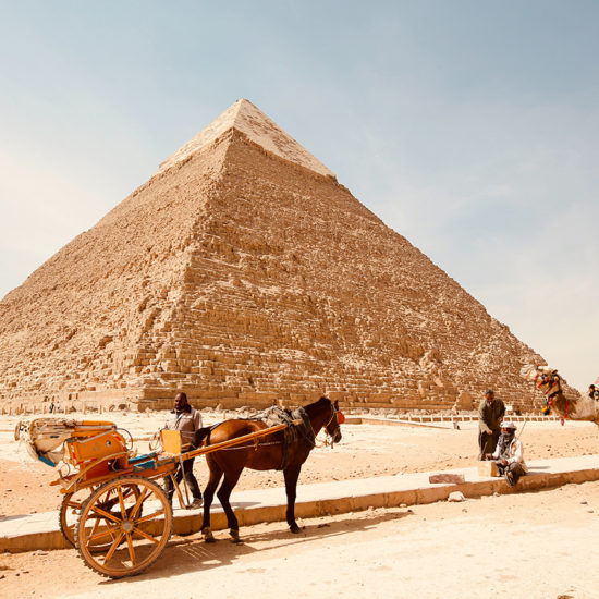 Piramides giza con camellos