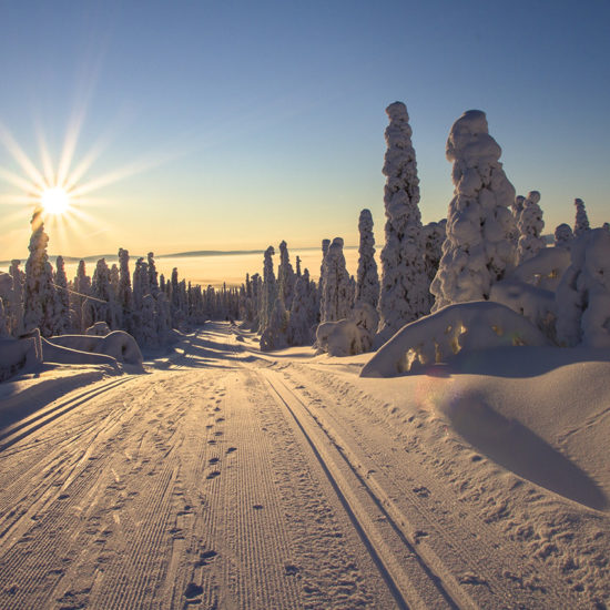 aventura frio esquí de fondo amanecer Finlandia