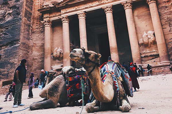 Camello en Petra Jordania ASIVIAJO