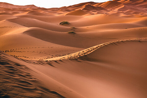 Disierto de Marruecos ASIVIAJO
