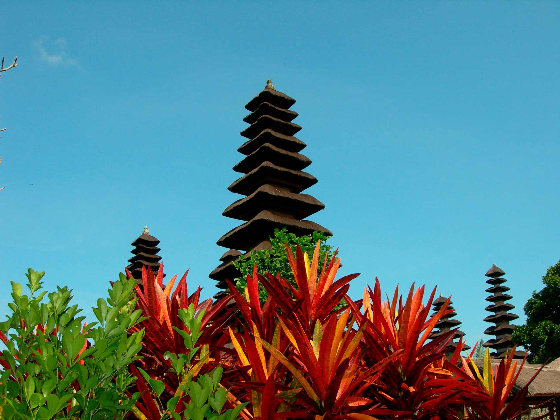 Pagodas de Pura Taman Ayun sobre vegetacion
