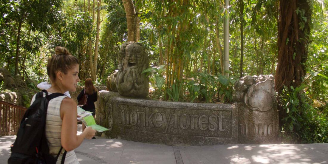 entrada monkey forest