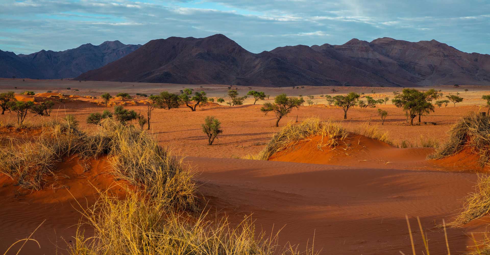 Desierto En namibia