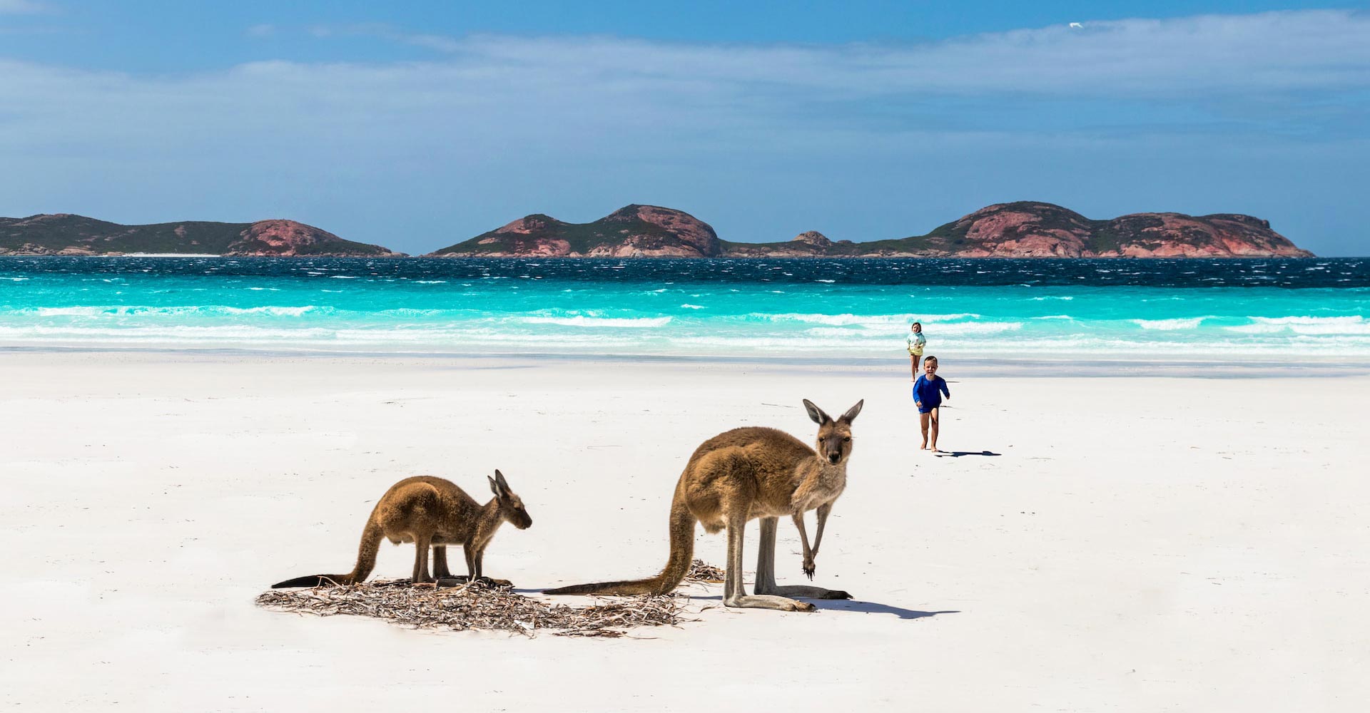 Isla Kanguroo Australia