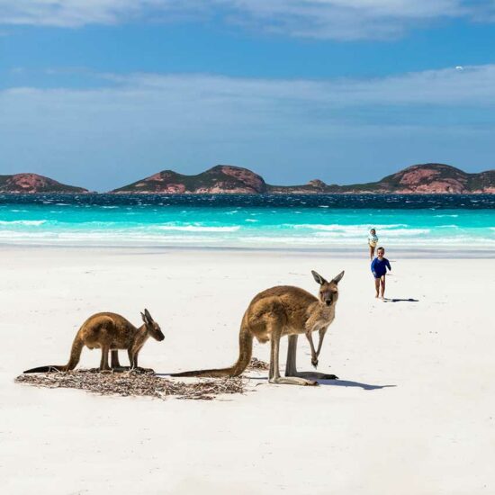 Kangaroo Island Australia
