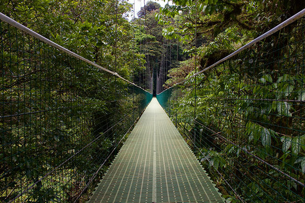 Puente en Monteverde ASIVIAJO