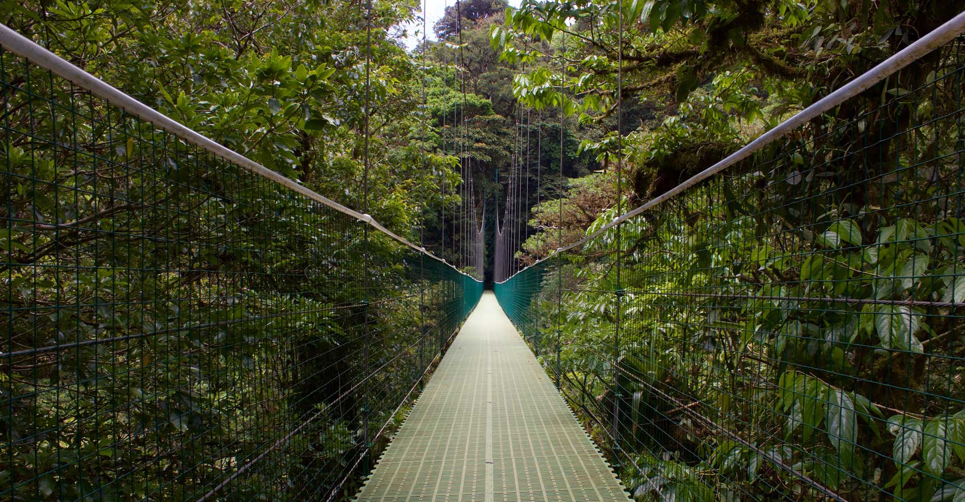 Puente en Monteverde