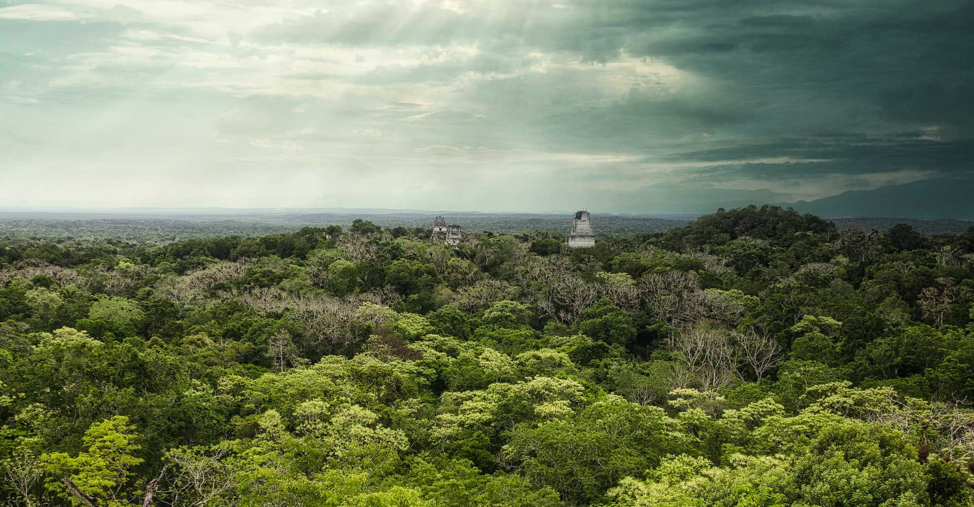 Vista del Templo el Tikal Guatemala